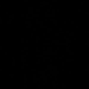 Meet your Posher, Marisol